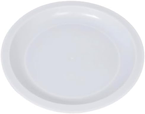 Two Perfect 10-inch Plates