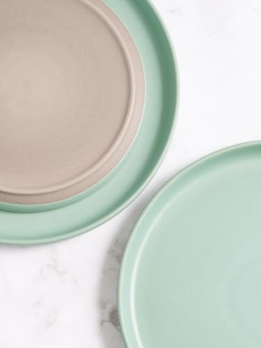 Famiware Milkyway Dinner Plates 1024-inch Set for 6 Stoneware Reactive Glaze