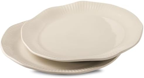 Tikooere Ceramic Dinner Plates Set of 2 10 Inch 1