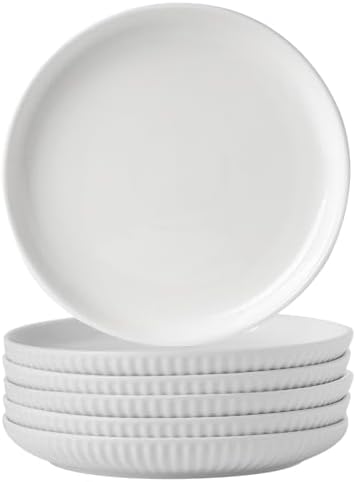 Hasense 10-Inch Dinner Plate Set Ceramic Plates