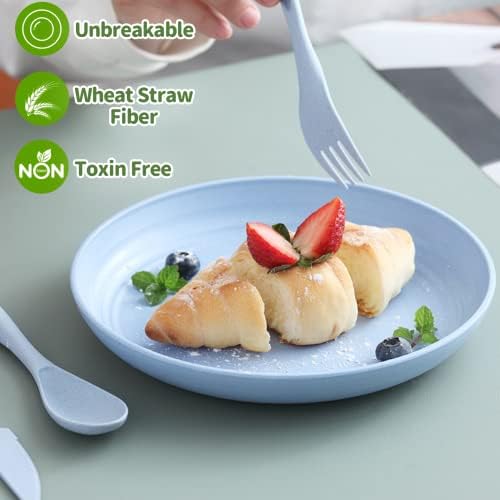 6-Piece Set of 10-Inch Wheat Straw Plates