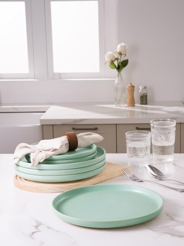 Famiware Milkyway Dinner Plates 1024-inch Set for 6 Stoneware Reactive Glaze