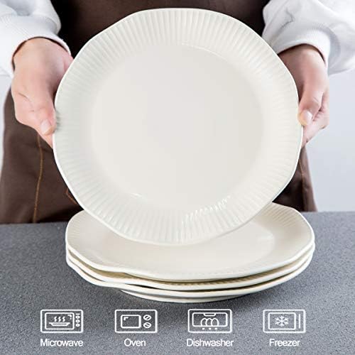 Tikooere Ceramic Dinner Plates Set of 2 10 Inch 1