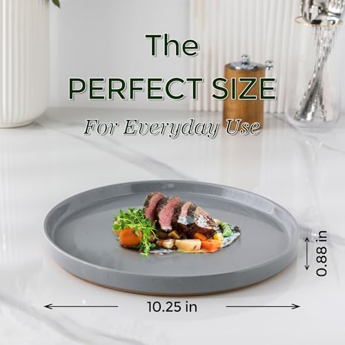 Stylish and functional dinner plates