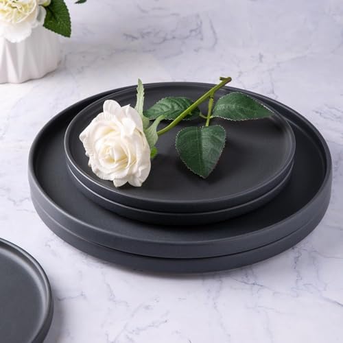 Inside Unique Ceramic Dinner Plate Set 6-Piece