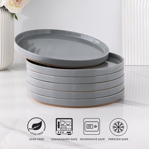 Stylish and functional dinner plates