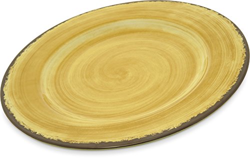 Carlisle Mingle Melamine Dinner Plate with Pottery Style