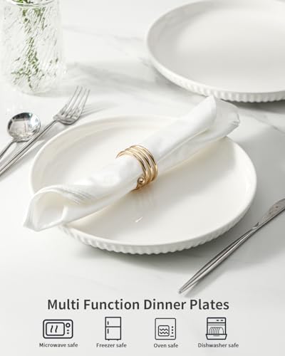 Hasense 10-Inch Dinner Plate Set Ceramic Plates