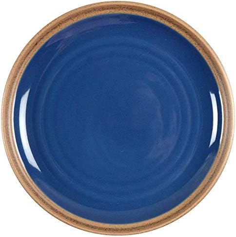 Perfect Noritake Blue Dinner Plate True to Size