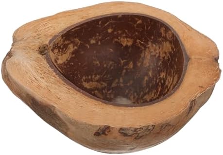 Coconut Shell Food Holder