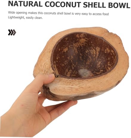 Coconut Shell Fruit Bowl Eco-Friendly Durable