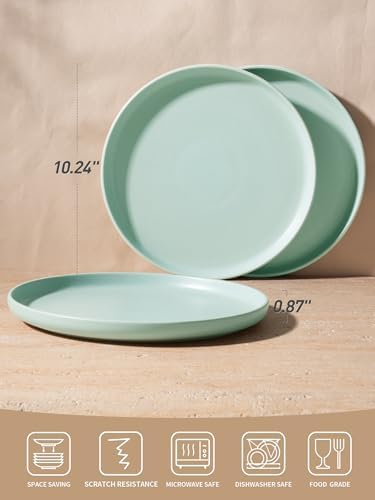 Famiware Milkyway Dinner Plates 1024-inch Set for 6 Stoneware Reactive Glaze