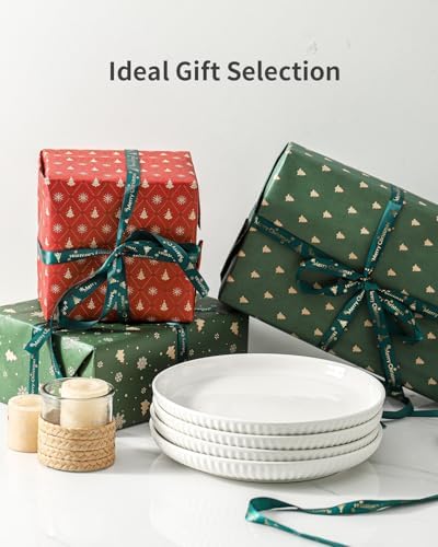 Hasense 10-Inch Dinner Plate Set Ceramic Plates