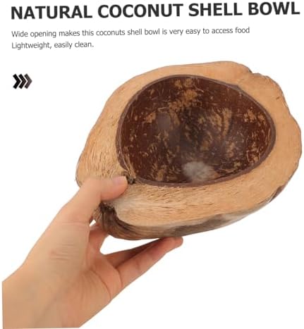 Coconut Shell Food Holder