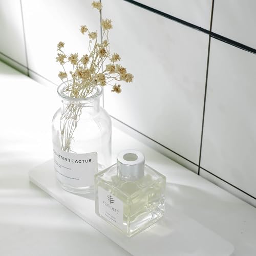 Natural Diatomite Coasters for the Bathroom