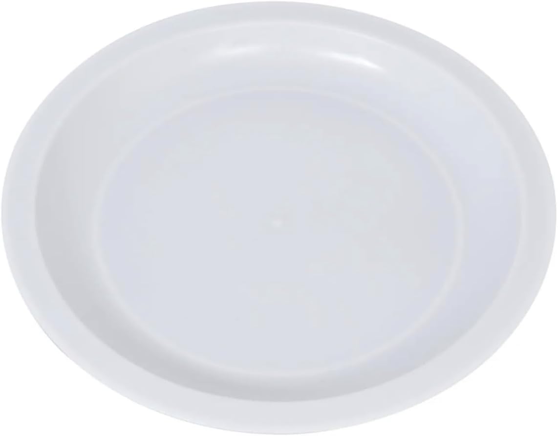 Two Perfect 10-inch Plates