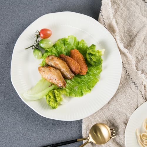 Tikooere Ceramic Dinner Plates Set of 2 10 Inch 1