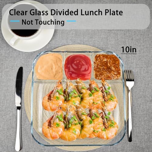 10 in 10-inch Square Glass Divided Plate for Adults