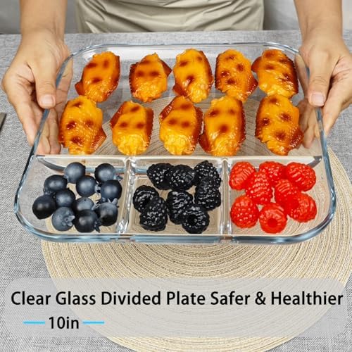 10 in 10-inch Square Glass Divided Plate for Adults