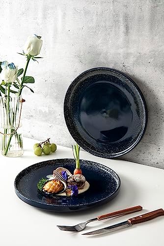 High-Quality Dinner Plates Set for Family Use
