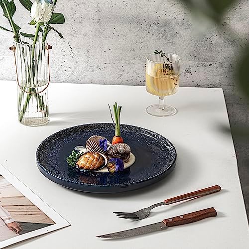 High-Quality Dinner Plates Set for Family Use