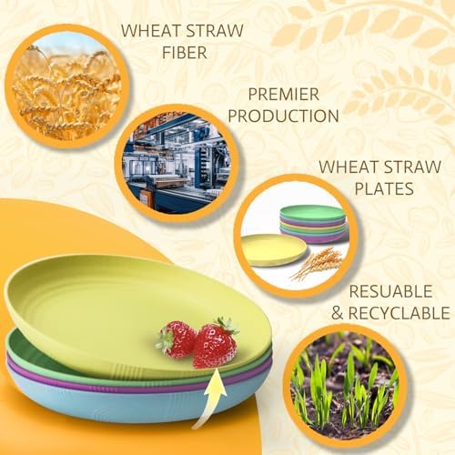 SINOGE Wheat Straw Plates 10 Inch Disc