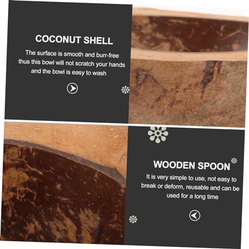 Coconut Shell Food Holder