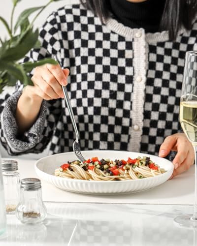 Hasense 10-Inch Dinner Plate Set Ceramic Plates