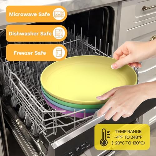 SINOGE Wheat Straw Plates 10 Inch Disc