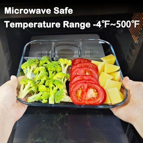 10 in 10-inch Square Glass Divided Plate for Adults