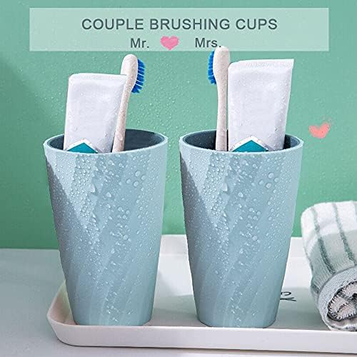 Sturdy Colorful 2-Pack Toothbrush Cup