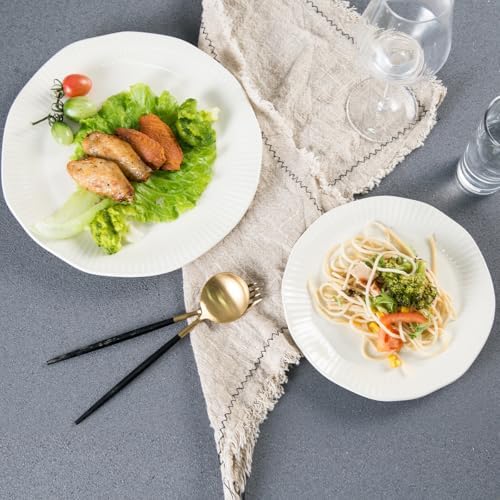 Tikooere Ceramic Dinner Plates Set of 2 10 Inch 1