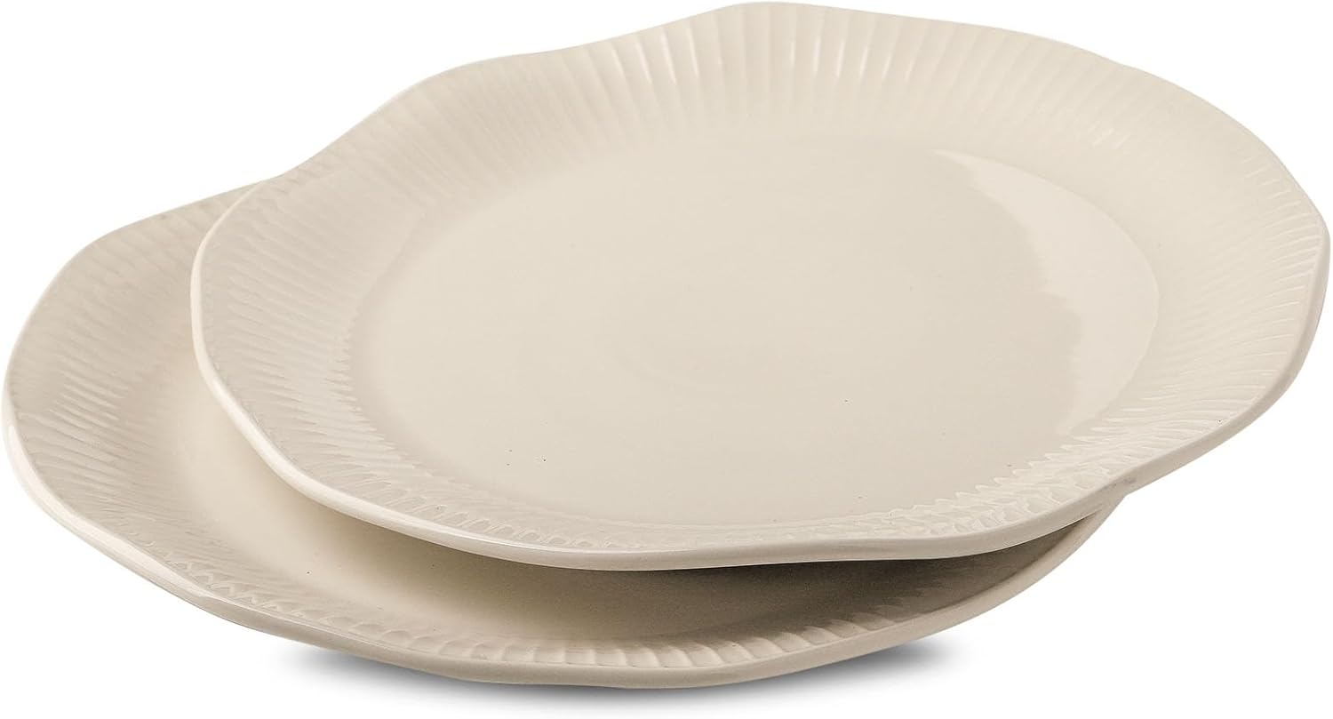 Tikooere Ceramic Dinner Plates Set of 2 10 Inch 1