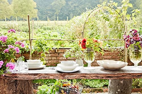 Sophie Conran Portmeirion Organic Dinner Plate Set