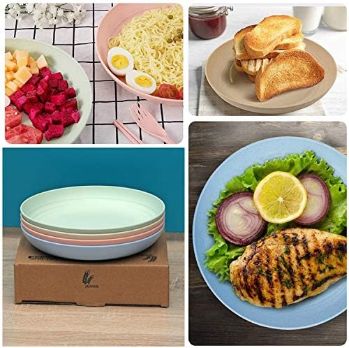 WANBY Lightweight Wheat Straw Dinner Plates Set