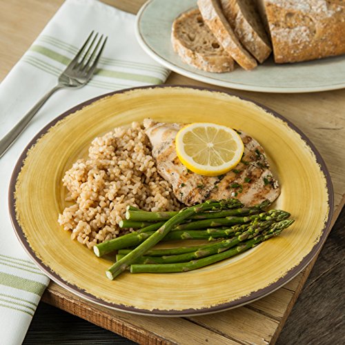 Carlisle Mingle Melamine Dinner Plate with Pottery Style