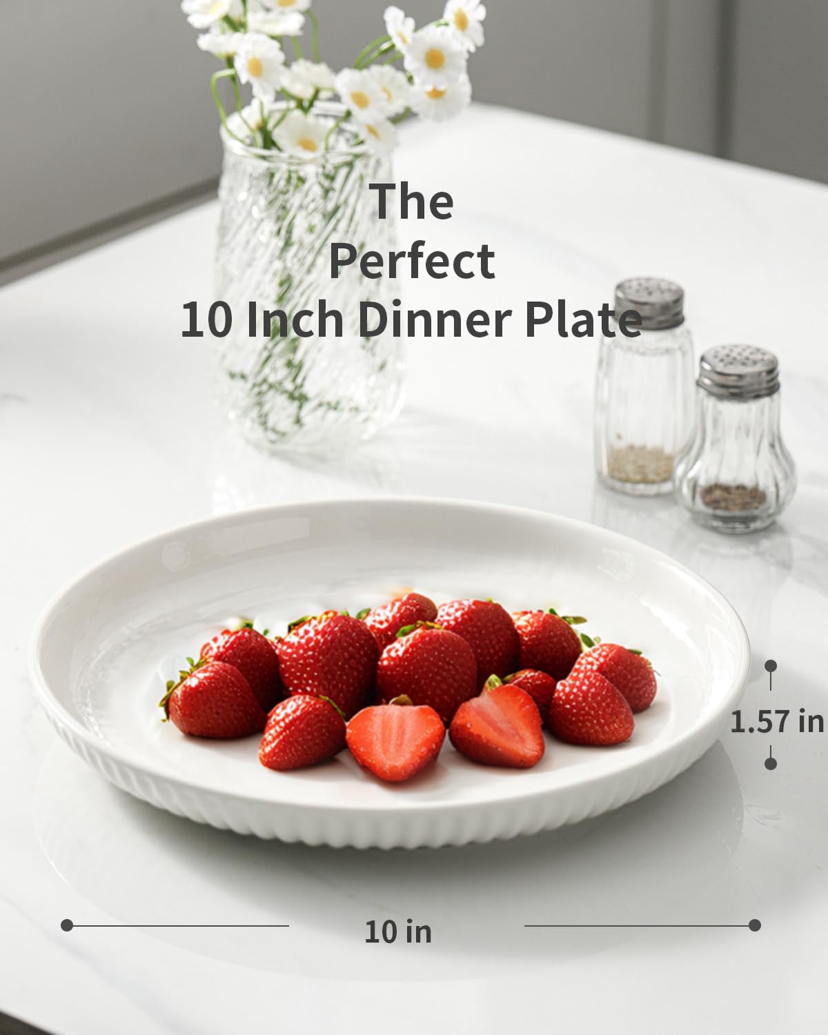 Hasense 10-Inch Dinner Plate Set Ceramic Plates