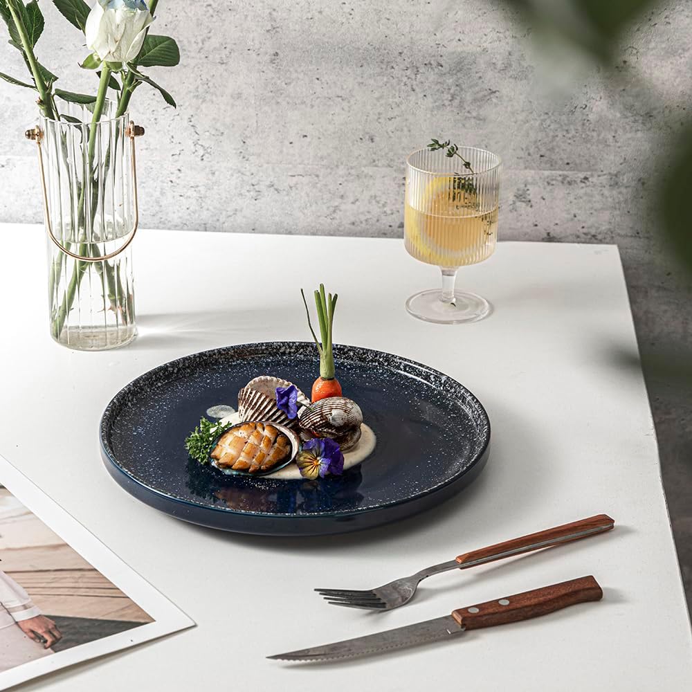High-Quality Dinner Plates Set for Family Use