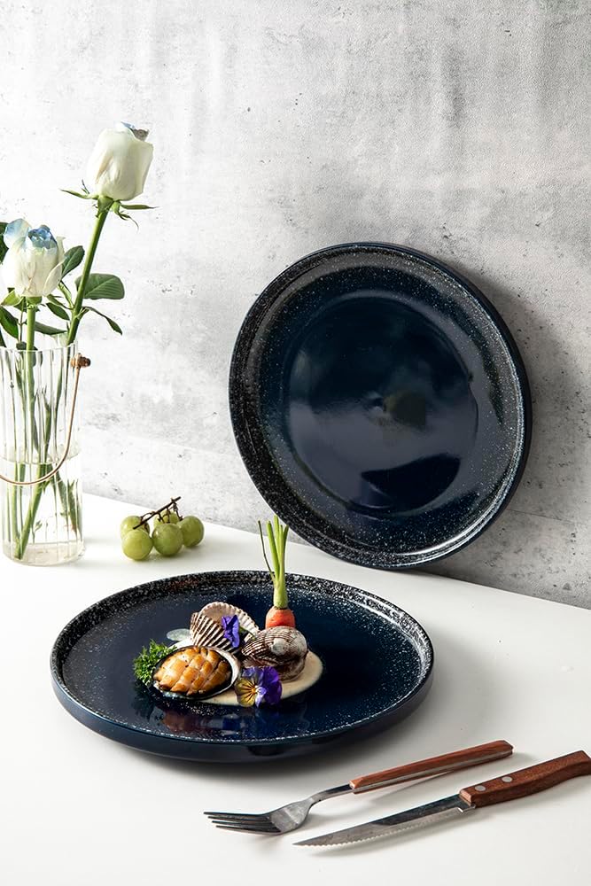 High-Quality Dinner Plates Set for Family Use