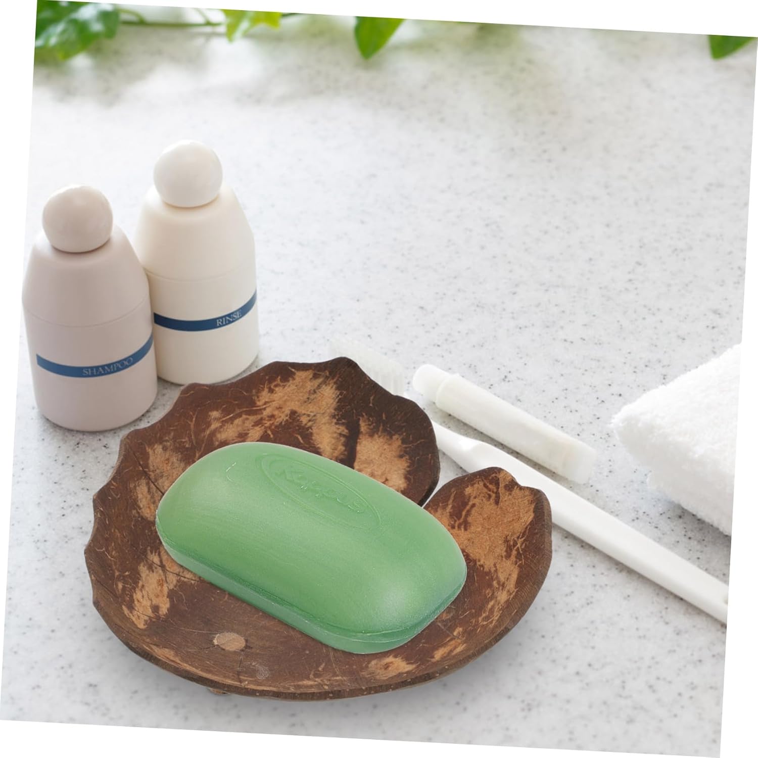 Stylish Coconut Shell Soap Dish Holder for Bathroom