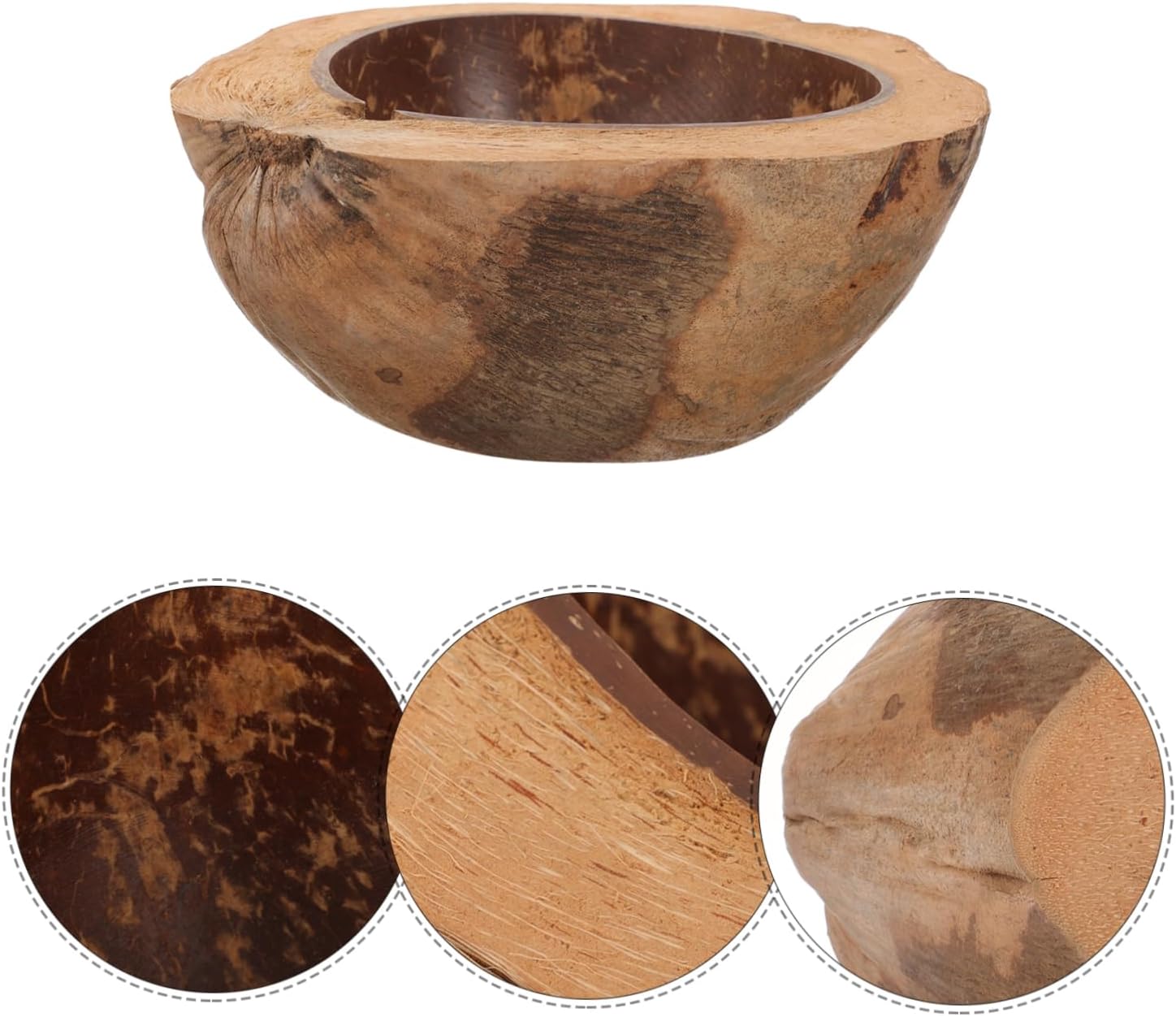 Coconut Shell Food Holder