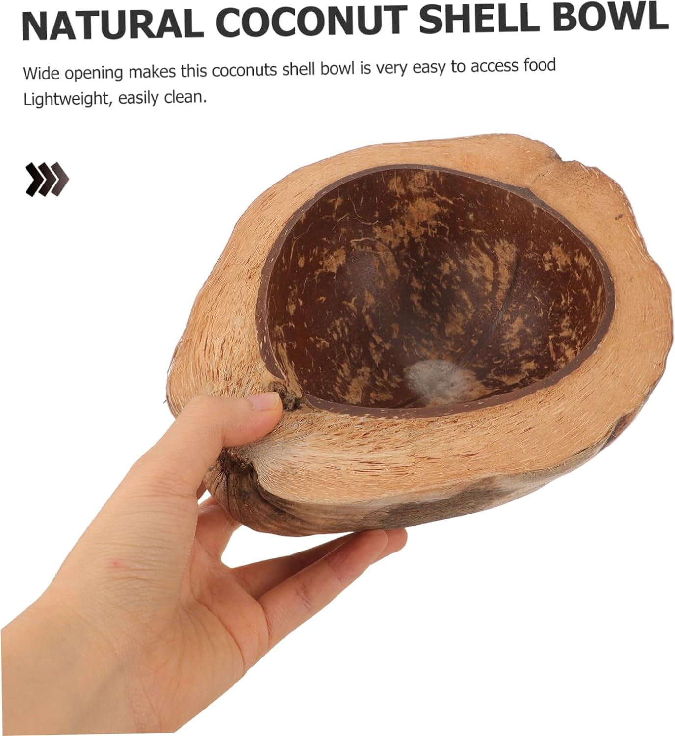 Coconut Shell Food Holder
