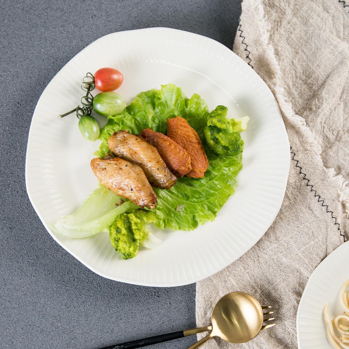 Tikooere Ceramic Dinner Plates Set of 2 10 Inch 1