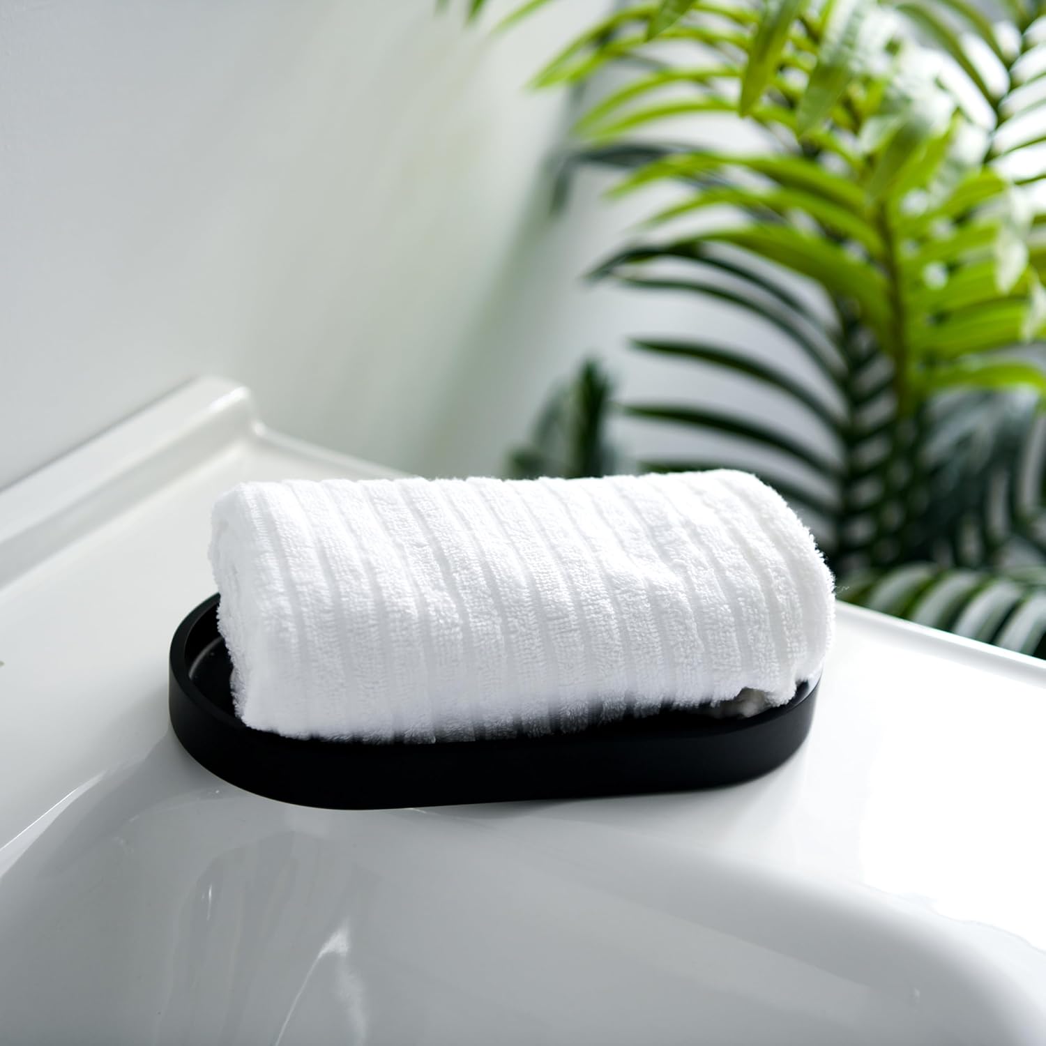 Elegant Black Resin Vanity Tray